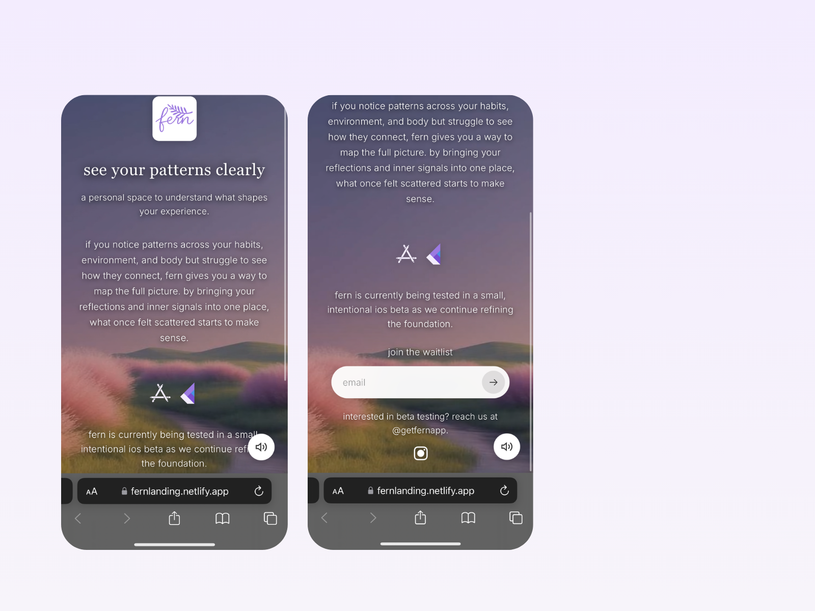 Fern landing page experience