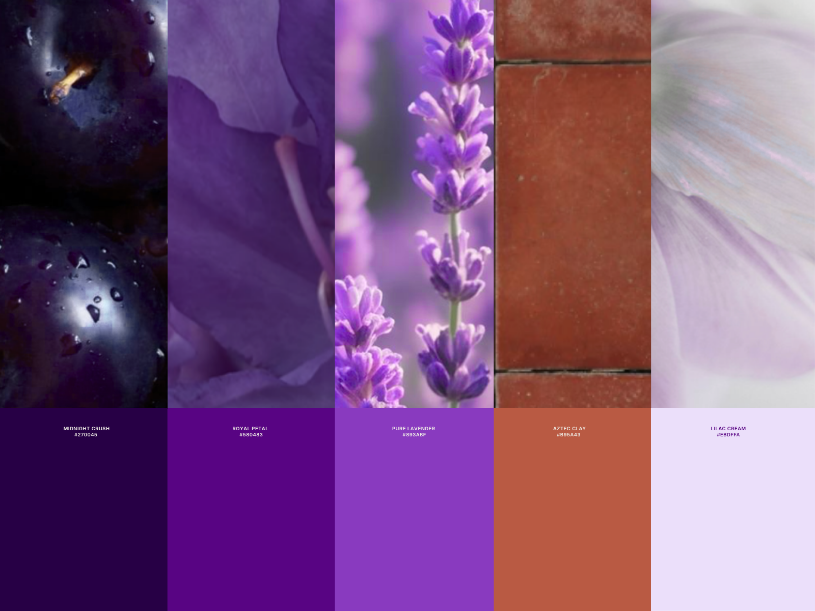Fern website desktop with dynamic hero messaging and cursor effects