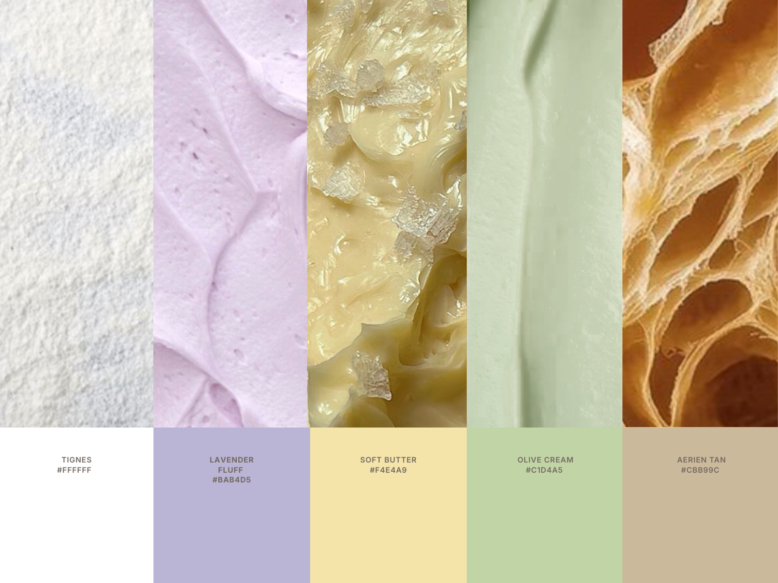 Medina & Co. brand identity exploration