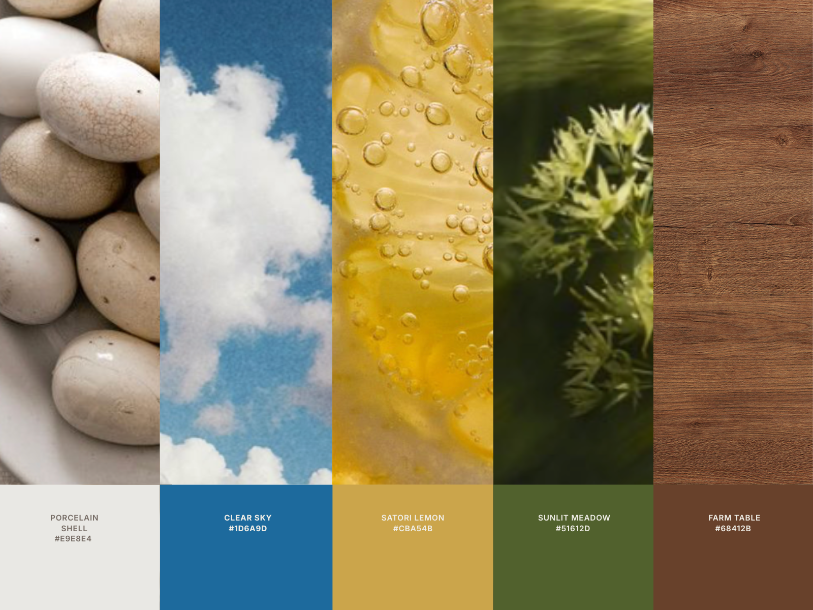 The Seasoned Table color palette